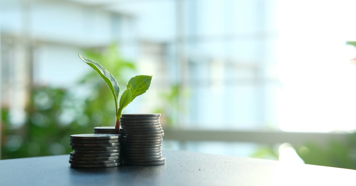 découvrez des solutions de financement adaptées à vos besoins pour concrétiser vos projets rapidement et efficacement.